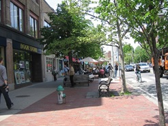 Central Square commercial area
