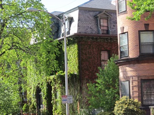 Harvard Street residential buildings