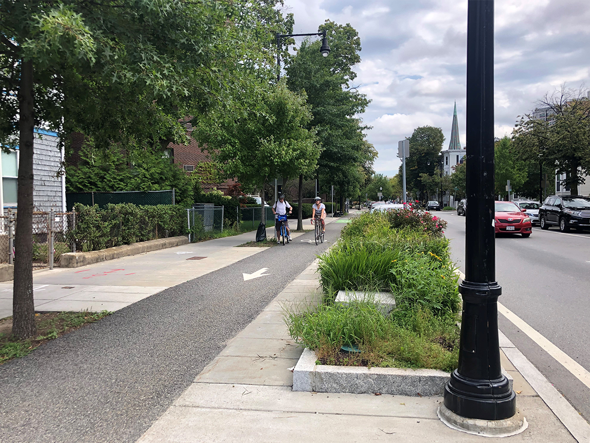 People biking along the Western Ave separated bike lane, which is at sidewalk level;  from left to right there is the sidewalk, a row of trees, the bike lane, planters, the rest of the street, including the general travel lanes
