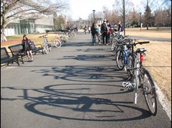 Long shadow of bikes parked at Cambridge Main Library