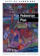 Pedestrian Plan