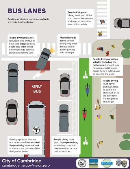 A graphic explaining how bus lanes work and how to cross them to park.