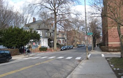 Linnaean Street at Avon Hill