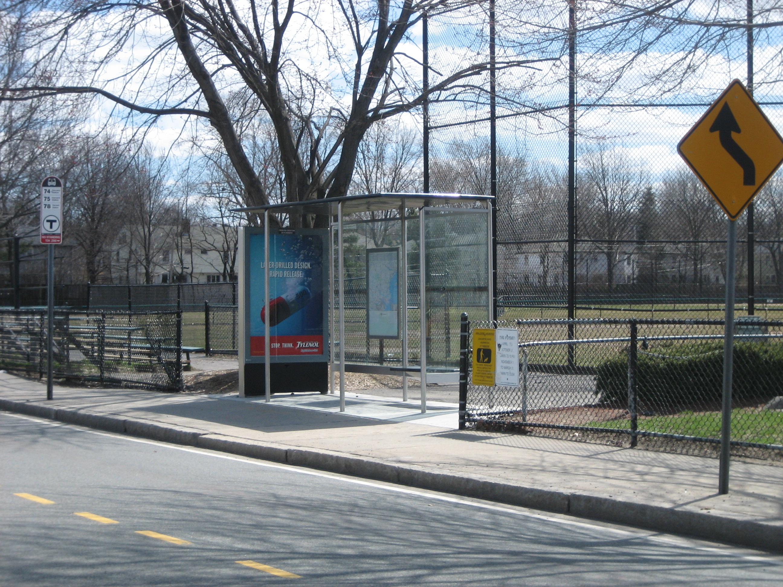 Cemusa bus shelter on Concord Avenue at the playing fields behind the armory.
