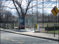 Cemusa bus shelter on Concord Avenue at the playing fields behind the armory.