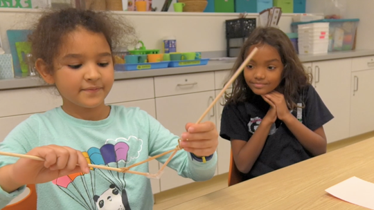 Science Club for Girls partners with Cambridge STEAM Initiative