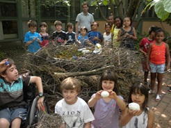 After-School Children working on eagle nest project