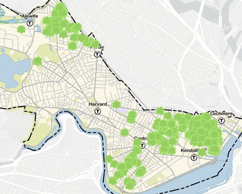 Cambridge map showing green icons that represent participatory budget tree plantings