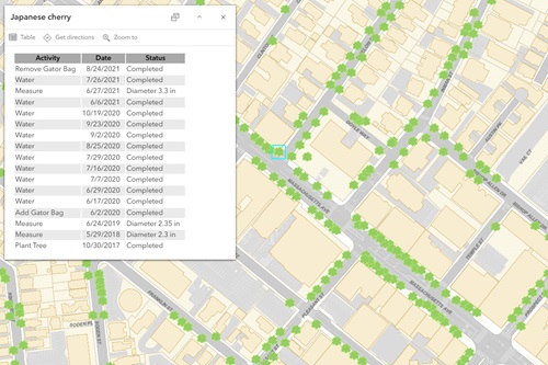 Screenshot of map showing tree activity data from Asset Management