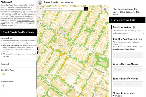 Screenshot of the Cambridge Urban Forest Friends Interactive map showing trees that are in need of care