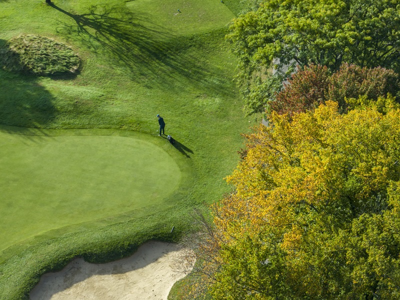 Aerial view of golfer on the green and surrounding foliage.