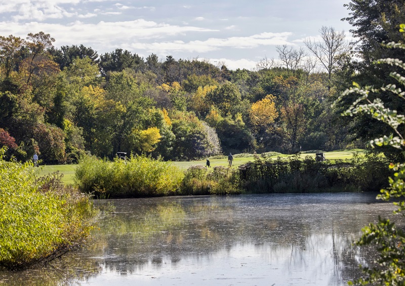 Golfers playing on the course with foliage behind them and a pond in front of them.