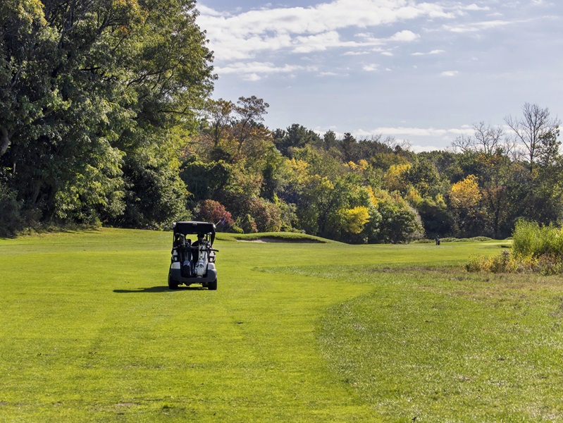 A golf cart driving down the fairway with foliage behind it.