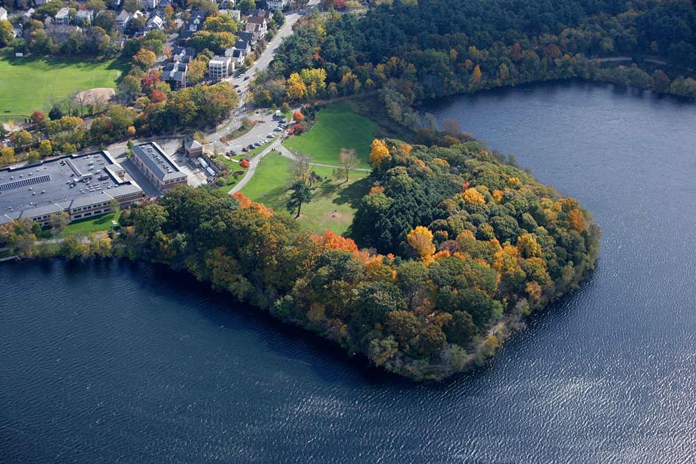 Fresh Pond Reservation on a sunny day.