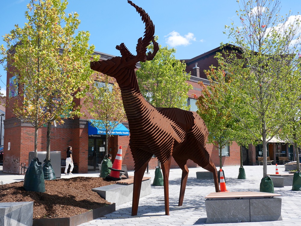 Giant Deer in Inman Square from the front