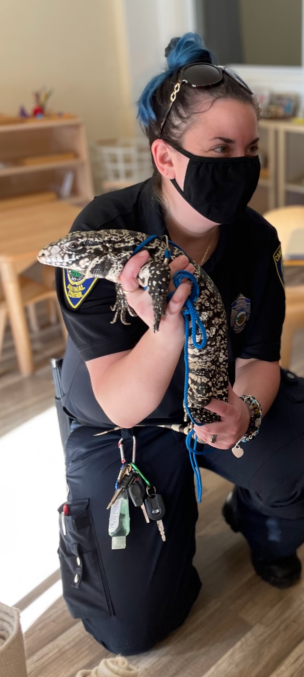 Animal Control Officer holding a reptile