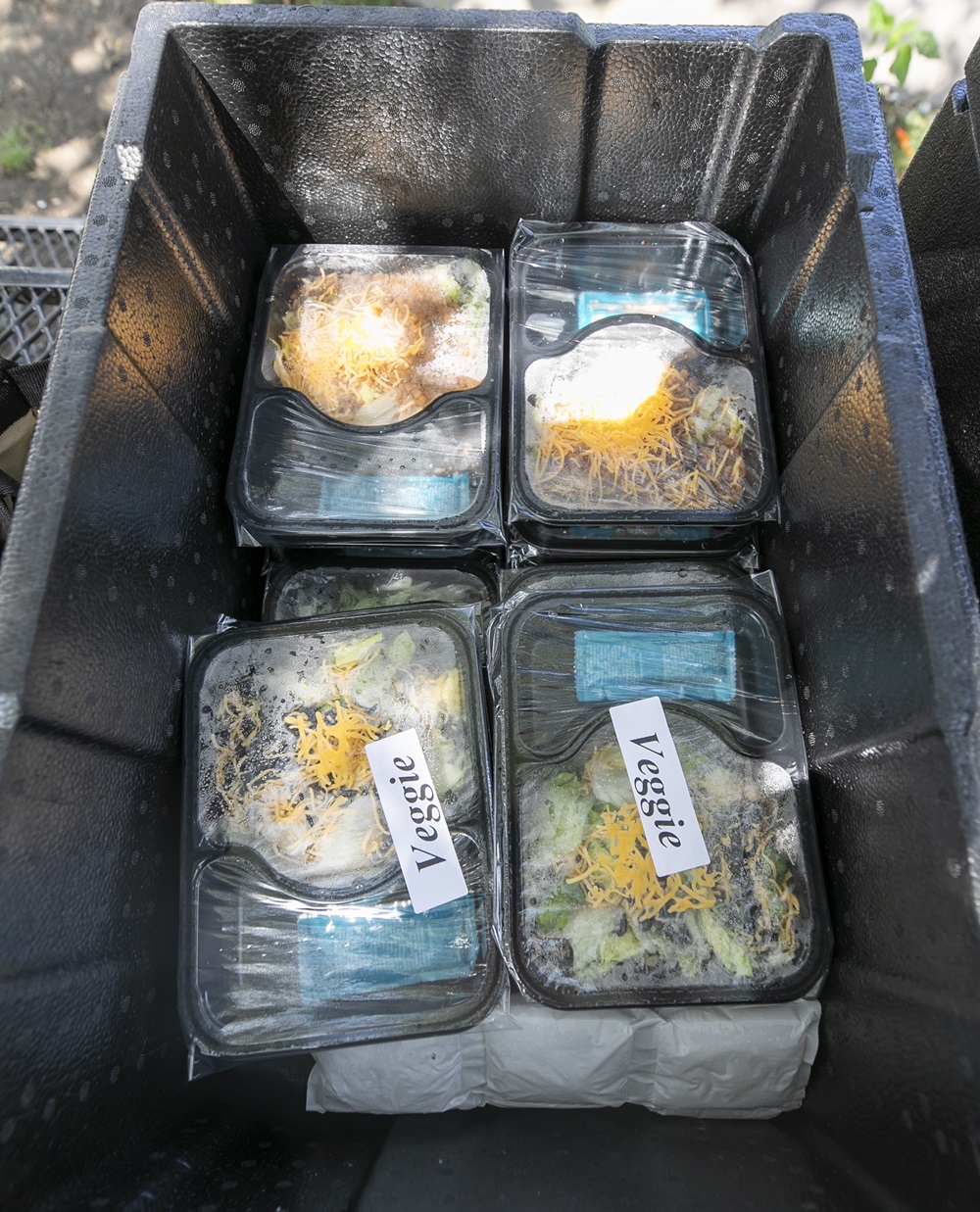 Meals from the Summer Food Program