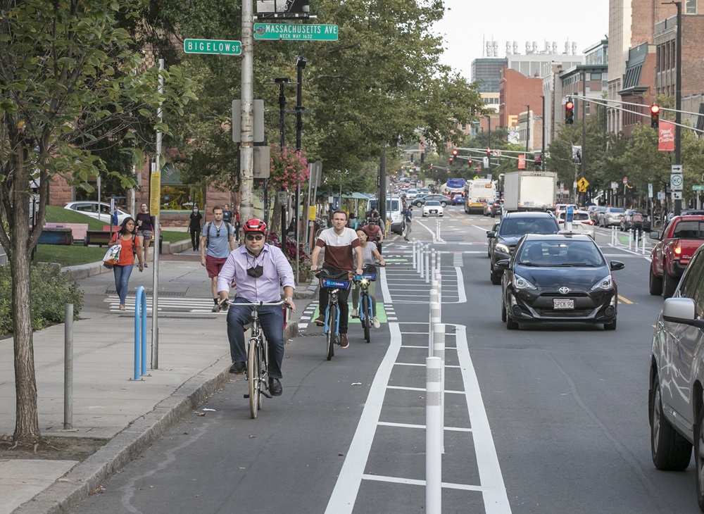 Several cyclists riding in a designated bike lane along Massachusetts Avenue with traffic and pedestrians nearby.