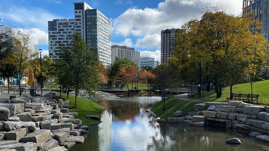 Image of park at Cambridge Crossing.