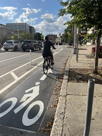 A cyclist uses a separated bike lane near Porter Square