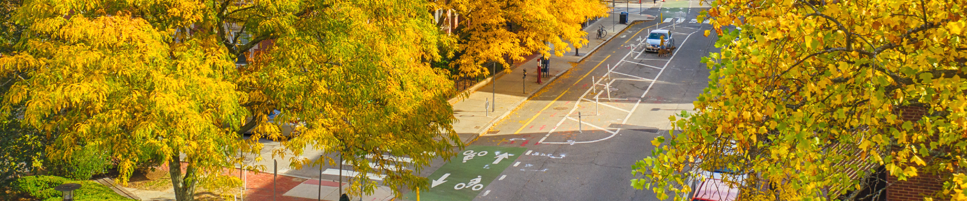 An aerial view of a two-way separated bike lane on Brattle Street. Most of the area on the left and the right of the image is filled with trees with yellow and green leaves.