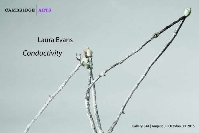 Laura Evans, Conductivity