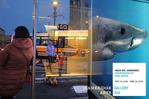 Photo by Karl Baden of People waiting at bush shelter with bus passing by and advertisement on the shelter depicting a shark.