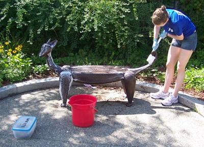 Conservation Technician, Camille Murphy, washing the bronze sculpture entitled Alley Cats by artist Judy McKie.