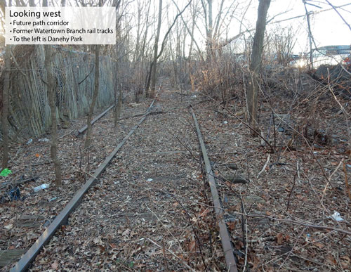 Leaves and trees along abandoned railroad tracks. View of the future location for the Danehy/New Street Path.