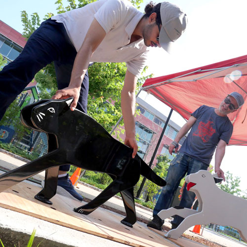 Oussama Ouadani (left) and Craig Uram of Cambridge Arts restored and reinstalled Jay Coogan's dogs and cats sculptures at Cambridge’s King Open and Cambridge Street Upper School, Valente Branch Library, and Community Complex on July 24 and 25.