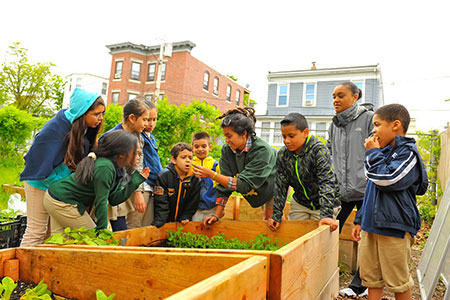 Green City Growers "Urban Agriculture and Sculpture Hub."