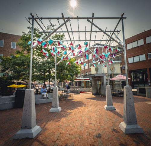 "Heat BLOOMS" in Harvard Square, Cambridge, 2025.