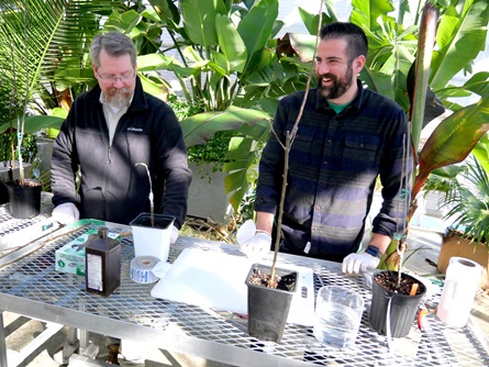 Jerry Mendenhall (left), Greenhouse Manager at Mt. Auburn Cemetery, and Sean Halloran, Greenhouse Horticulturalist at Wellesley College Botanic Gardens, graft apple tree cuttings at the Mt. Auburn Cemetery greenhouses, Jan. 17, 2023.