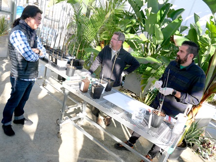 Yugon Kim of IKD (left center) speaks with Jerry Mendenhall (center), Greenhouse Manager at Mt. Auburn Cemetery, and Sean Halloran, Greenhouse Horticulturalist at Wellesley College Botanic Gardens, at the Mt. Auburn Cemetery greenhouses, Jan. 17, 2023.