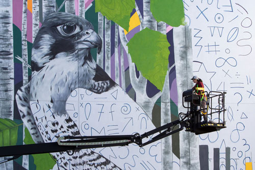 Sophy Tuttle stands on a lift painting a mural of a bird.