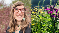 Event image for Grow Native Presents Evening with Experts: Planting for Climate Resilience with Andrea Berry, Executive Director, Wild Seed Project