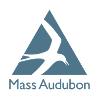 Event image for Meet an Animal with Mass Audubon