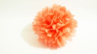Event image for CANCELLED: Third Thursdays @ Collins: Tissue Paper Flowers (Collins)
