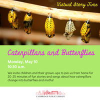 Event image for Virtual Story Time: Caterpillars and Butterflies