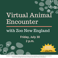 Event image for Summer Reading: Animal Encounter with Zoo New England (Virtual)