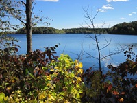 Event image for Fresh Pond Nature Walk (Collins)