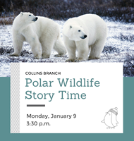 Event image for Polar Wildlife Story Time (Collins)