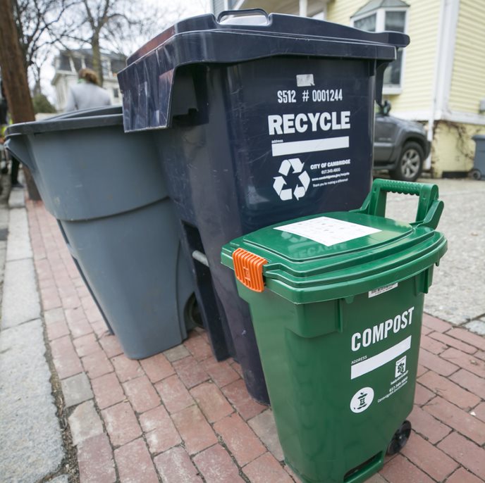 Yard Waste Pick Up - City of Cambridge, MA