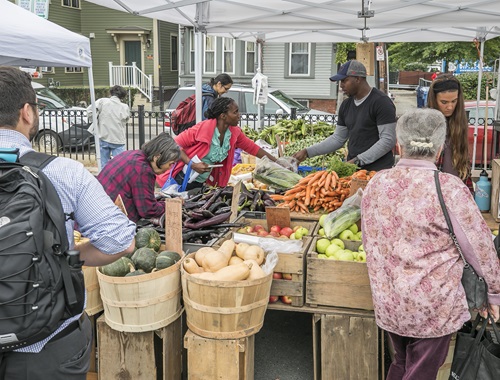 Patrons of the Central Square Farmers Market pick out and purchase vegetables at a stand