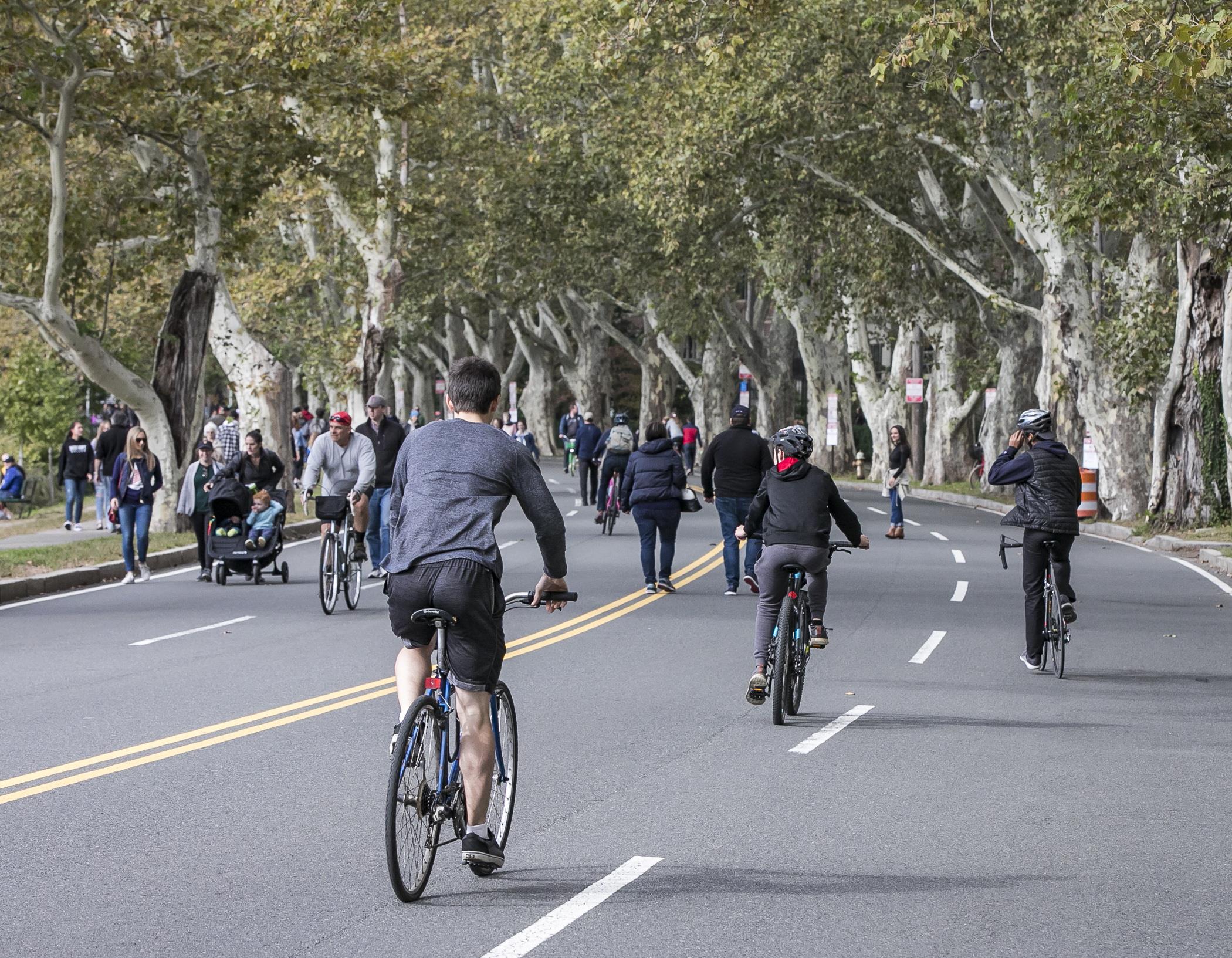 People biking and walking on Memorial Drive