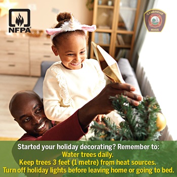 Christmas Holiday tree safety NFPA photo