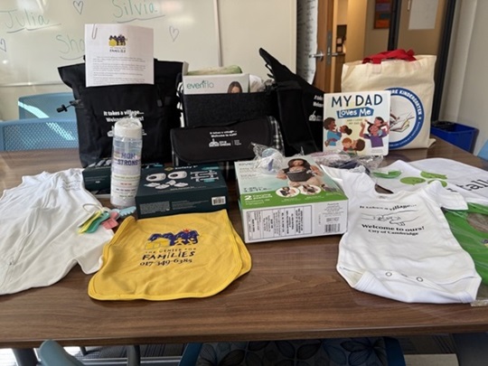 Baby items included in Baby Boxes