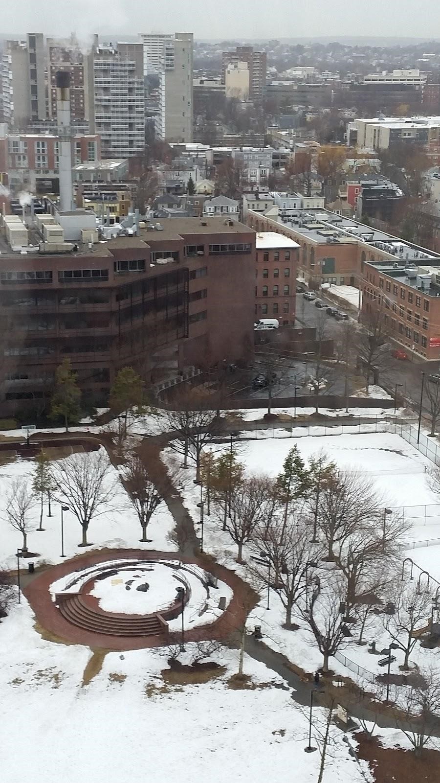 Circular area at Riverside Press Park, proposed area for peace garden
