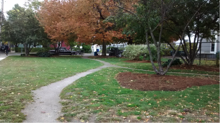 Proposed area of community garden in the Wellington-Harrington neighborhood