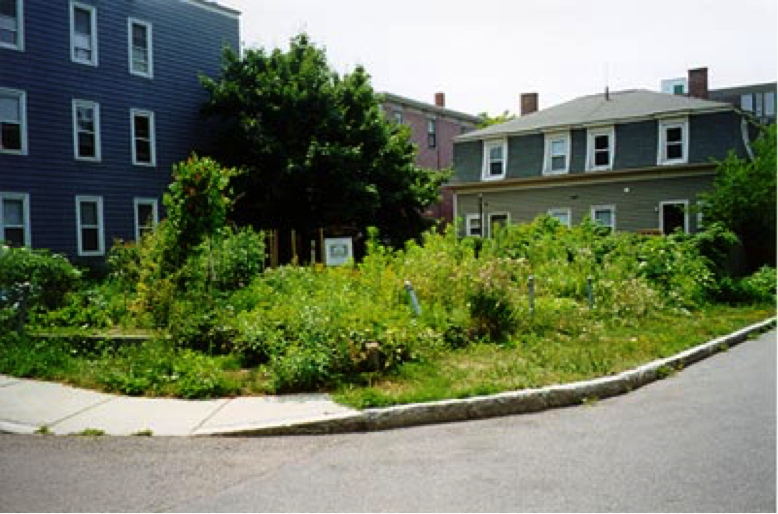 Example of a community garden on a street corner flanked by buildings
